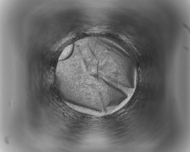 X0000102011350200808151242