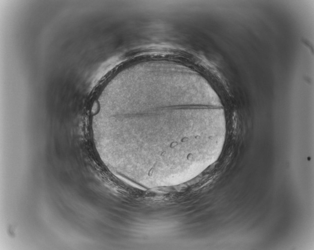 X0000102011352200808151242