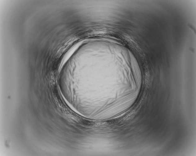 X0000102011353200808151242