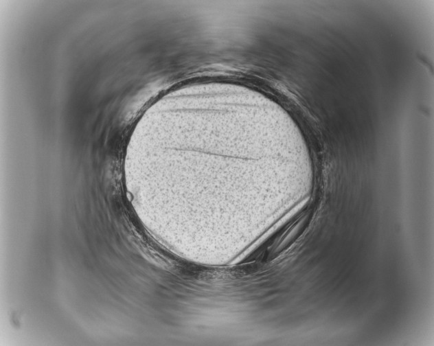 X0000102011355200808151242