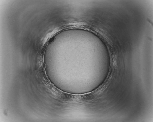 X0000102011357200808151242