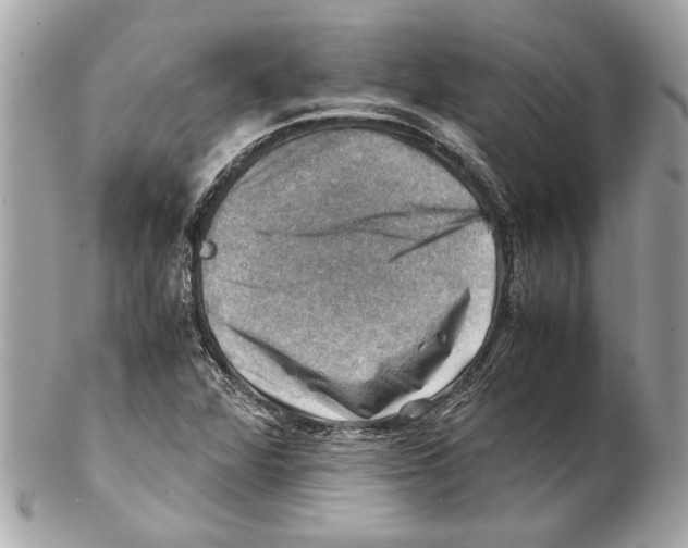 X0000102011360200808151242