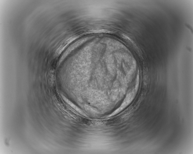 X0000102011361200808151242