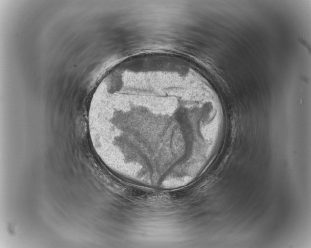 X0000102011363200808151242