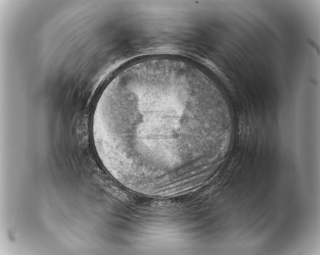 X0000102011364200808151242