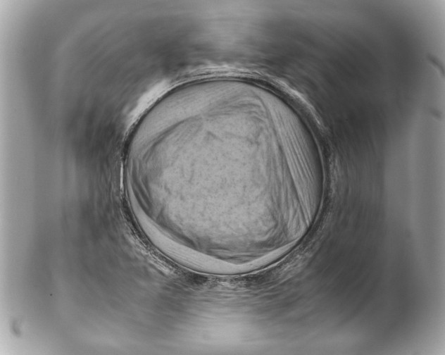 X0000102011365200808151241