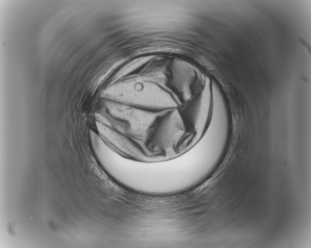 X0000102011369200808151241