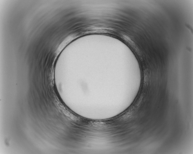 X0000102011370200808151241