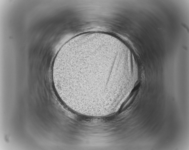 X0000102011375200808151241