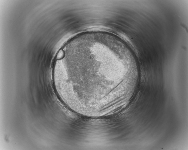 X0000102011376200808151241