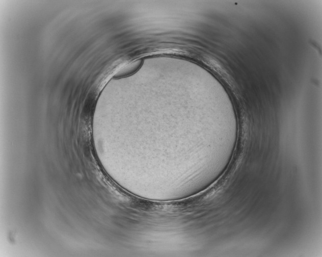 X0000102011377200808151241