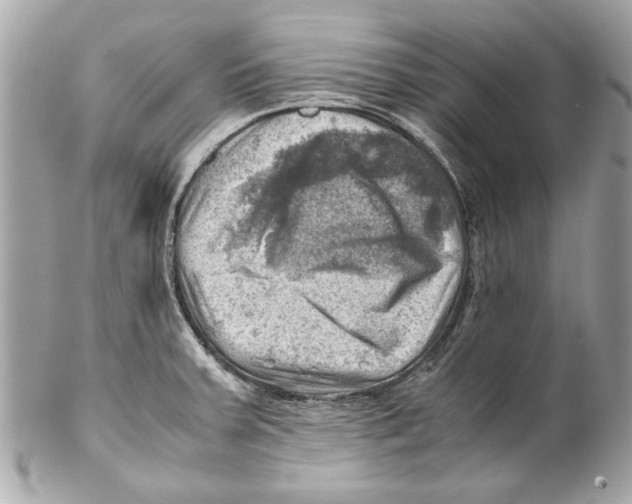 X0000102011379200808151241