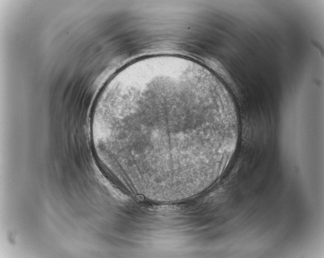 X0000102011380200808151241