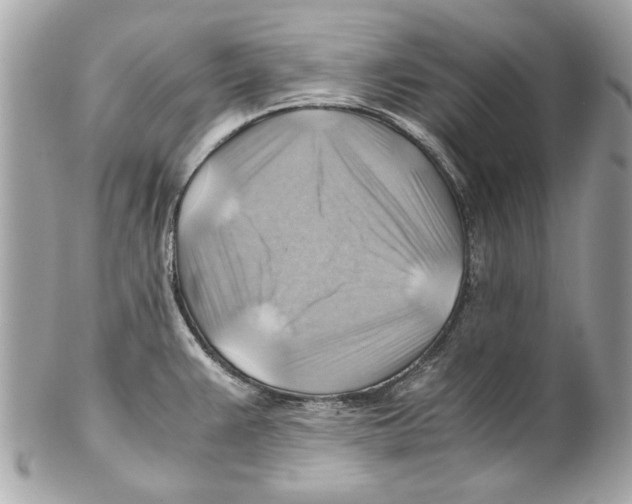 X0000102011383200808151241