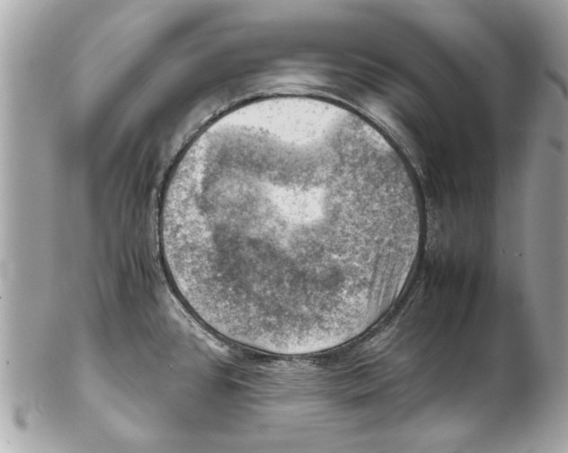 X0000102011384200808151241