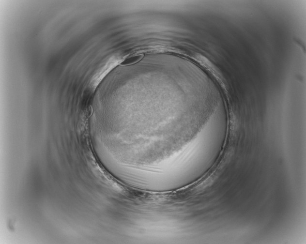 X0000102011385200808151241