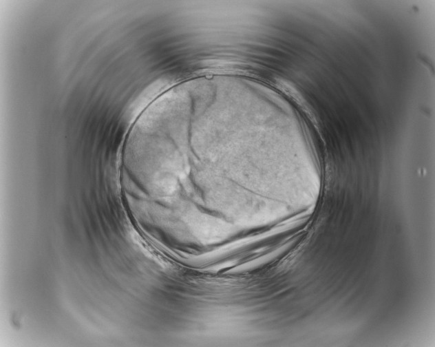 X0000102011386200808151241