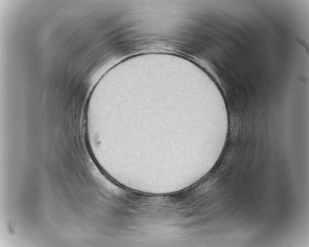 X0000102011387200808151241