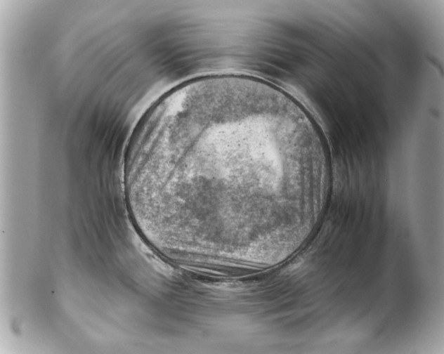 X0000102011388200808151241