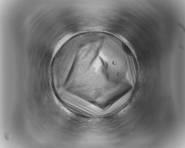 X0000102011389200808151241