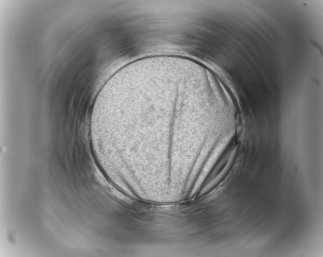 X0000102011390200808151241