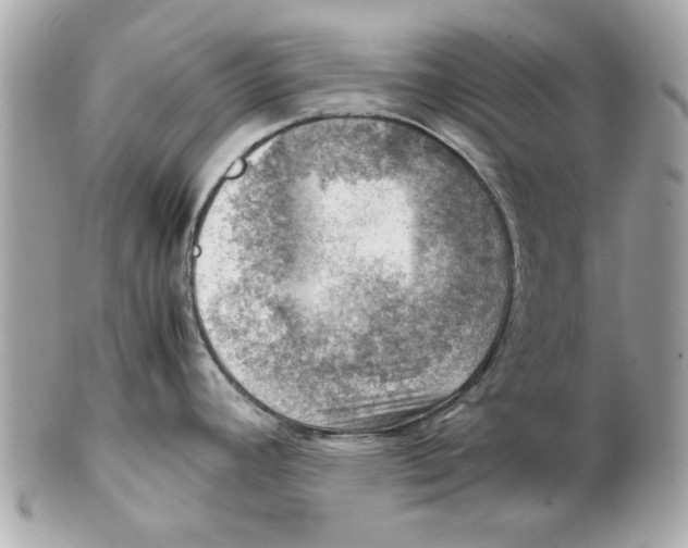 X0000102011392200808151241