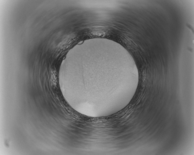 X0000102011394200808151240