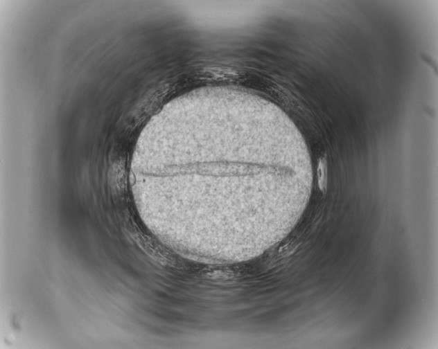 X0000102011395200808151240