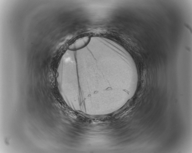 X0000102011398200808151240