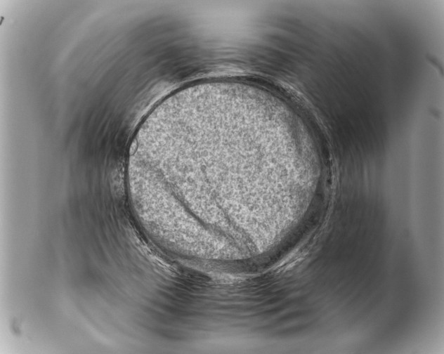 X0000102011409200808151240