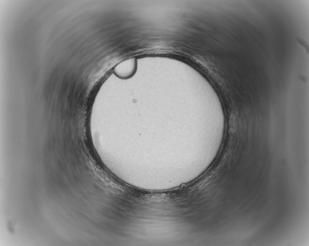 X0000102011410200808151241