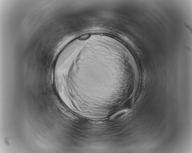 X0000102011413200808151241