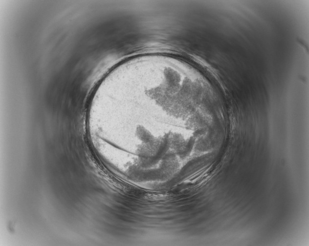 X0000102011415200808151241