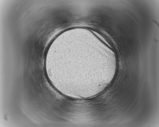 X0000102011416200808151241