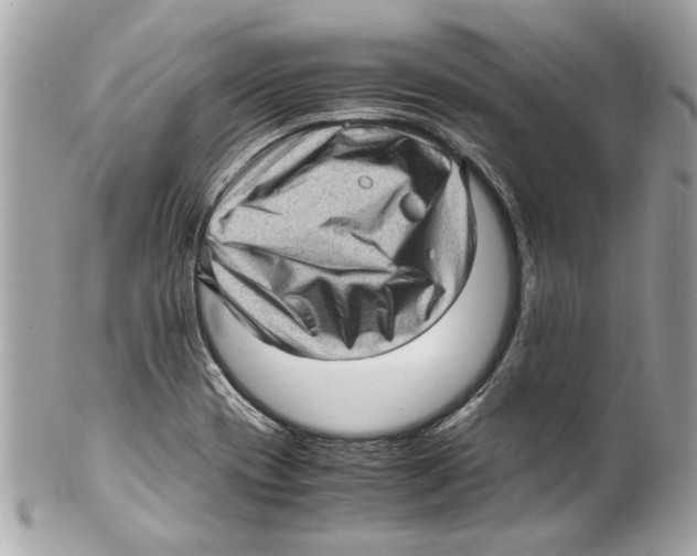 X0000102011417200808151241