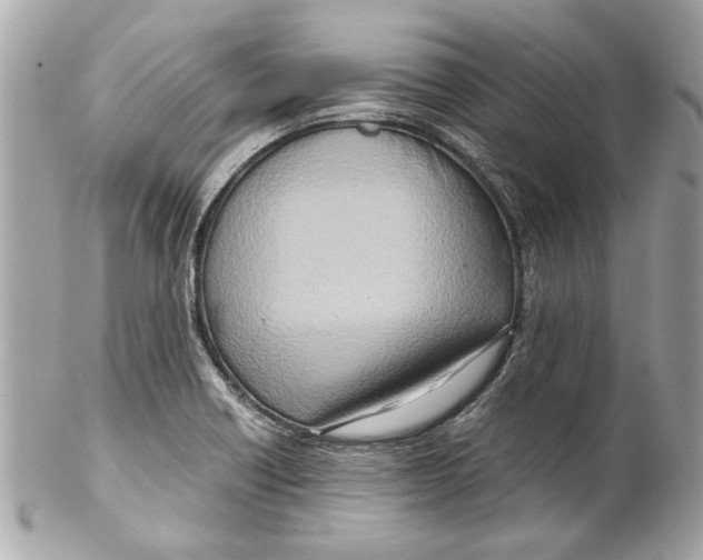 X0000102011418200808151241