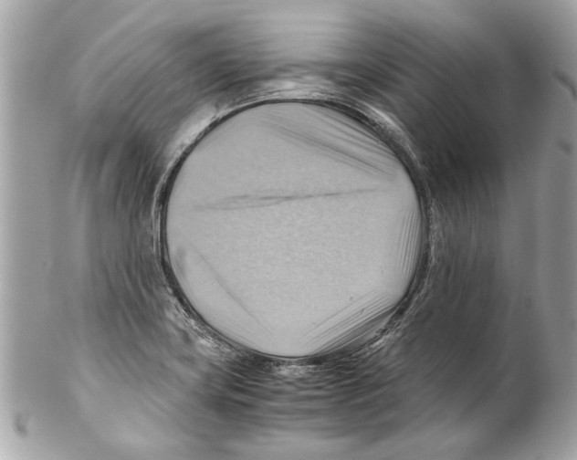 X0000102011419200808151241