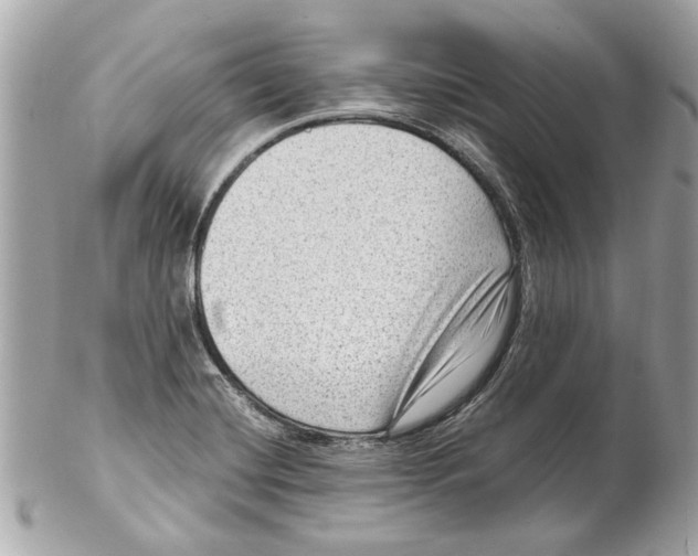 X0000102011420200808151241