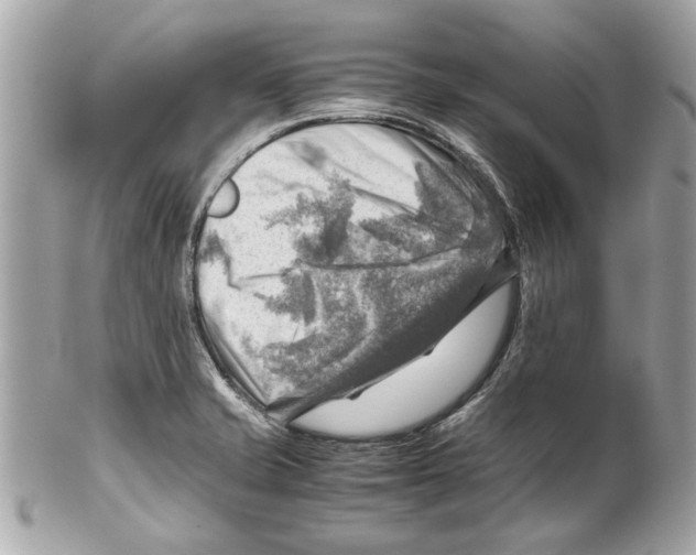 X0000102011421200808151241