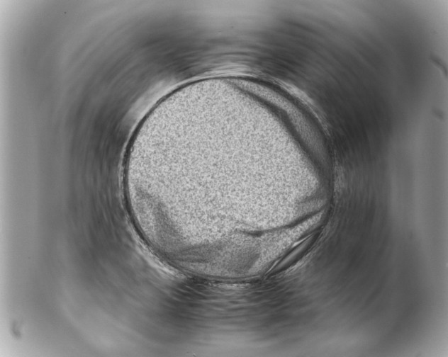 X0000102011423200808151241