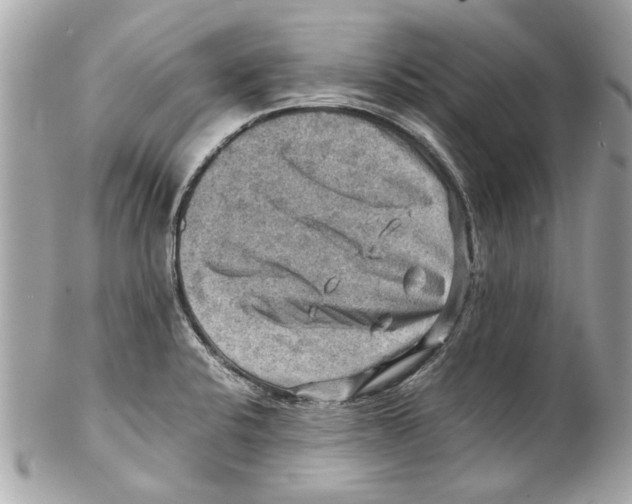 X0000102011424200808151241