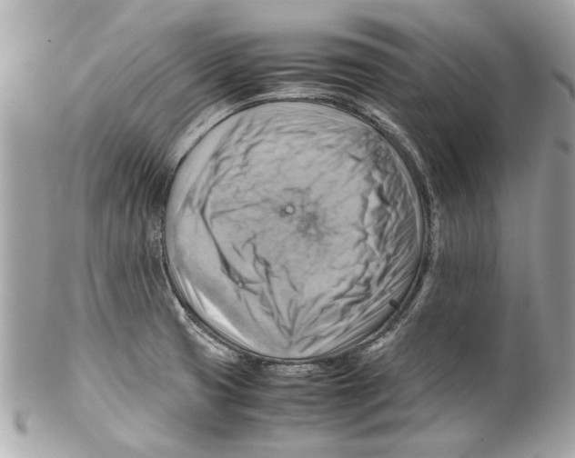 X0000102011425200808151241