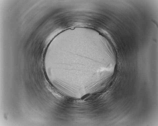 X0000102011427200808151241