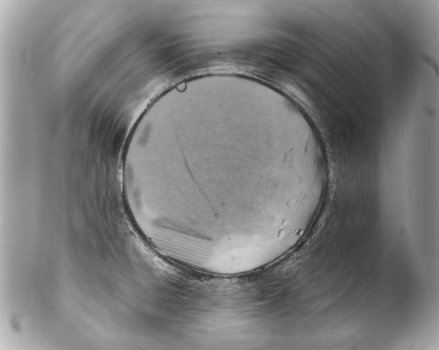 X0000102011428200808151241