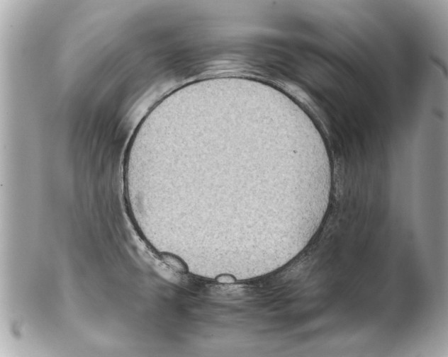 X0000102011431200808151241