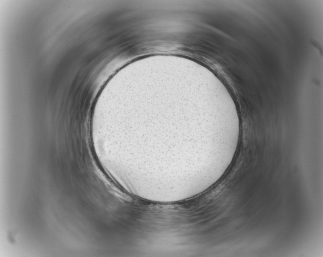 X0000102011432200808151241