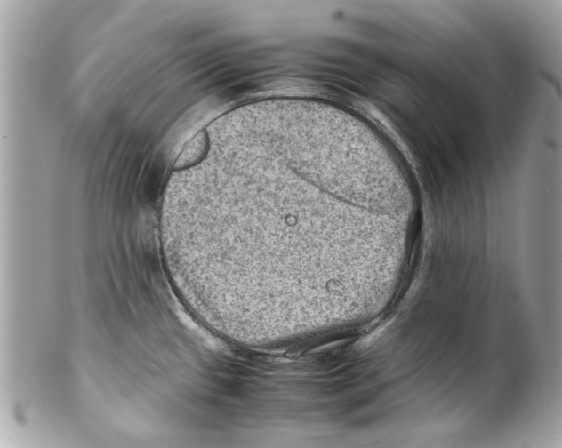 X0000102011433200808151241