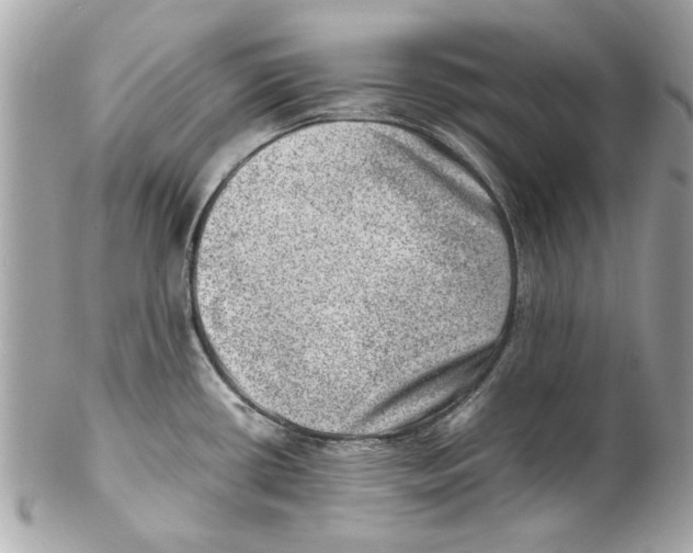 X0000102011434200808151241