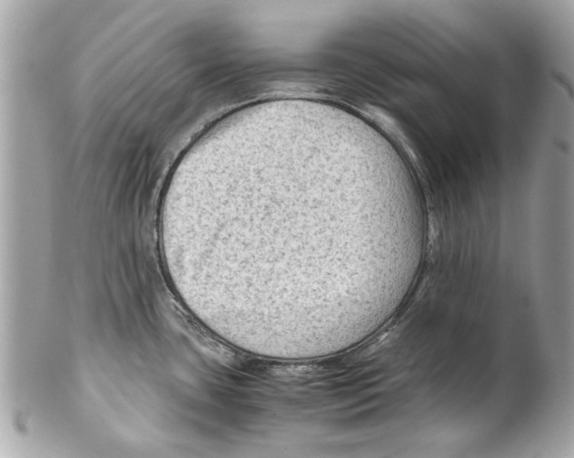 X0000102011435200808151241