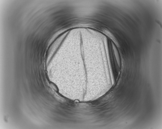 X0000102011436200808151241